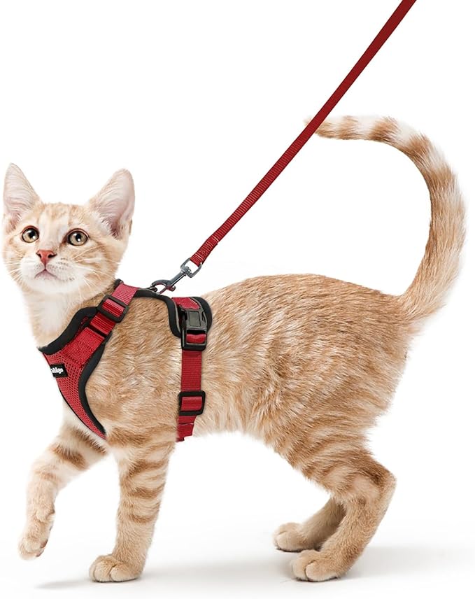 rabbitgoo Cat Harness and Leash for Walking, Escape Proof Soft Adjustable Vest Harnesses for Cats, Easy Control Breathable Reflective Strips Jacket, Red, S