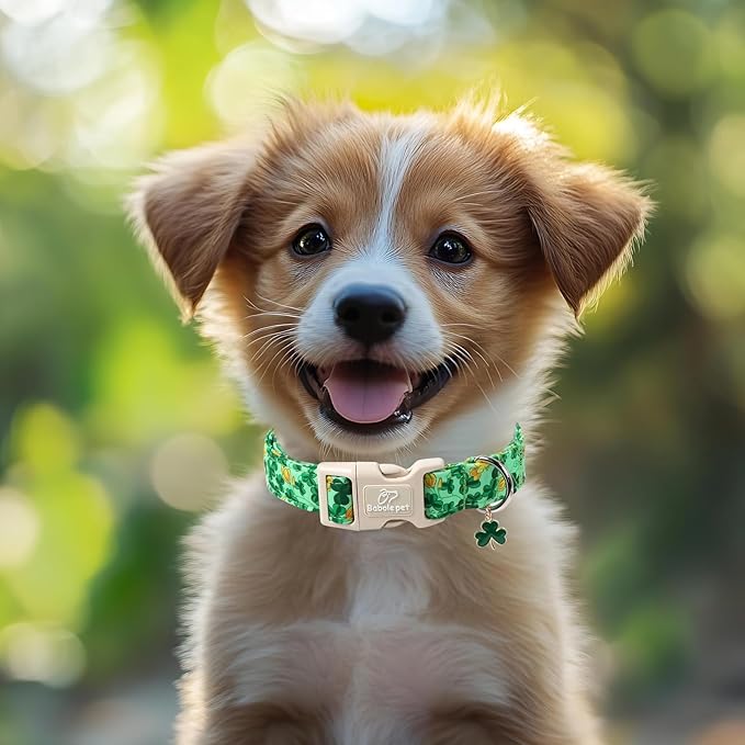 St. Patrick's Day Dog Collar for Small Dogs - Green Shamrock & Yellow Flower Print Dog Collars, Cute Irish Party Puppy Collar, Lightweight Adjustable St. Patricks Day Pet Collars S