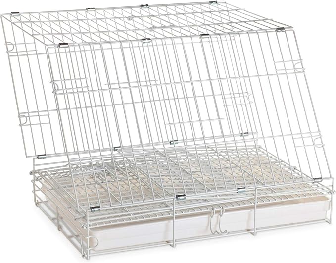 Collapsable Bird, Parrot, Dog, Bunny, Rabbit and Cat Carrier Travel Vet Carrier Cage (19" x 12" x 16"H, White)
