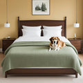 H.VERSAILTEX Plush Chenille Couch Cover for Dogs Pets Blanket for Bed Anti-Slip Soft and Durable Furniture Protector for Small Medium Large Cats Washable (52" x 82", Sage)