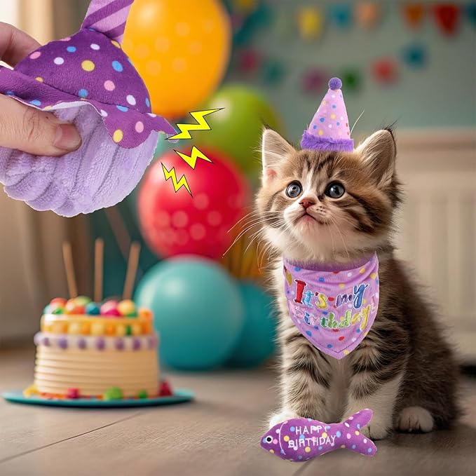 BINGPET Cat Birthday Catnip Toys for Indoor Cats, 5 Pcs Cat Birthday Gift Kitten Interactive Toys for Boy Girl Cats, Soft Plush Catmint Kitty Chew Kick Toy, Hat, Bandana, Balloon, Cake, Fish, Purple