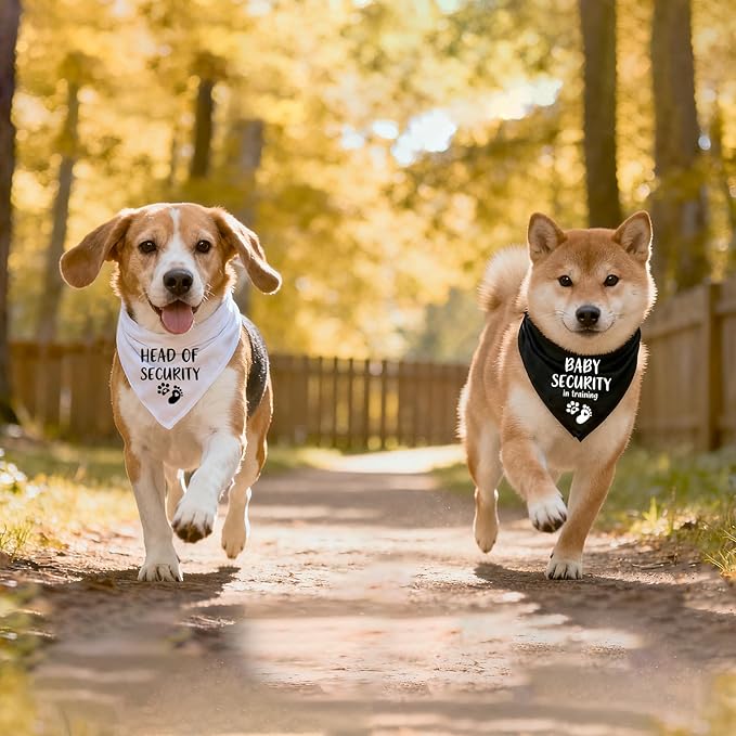 2 Pack Dog Bandana Pregnancy Announcement, Baby Security in Training and Head of Security Gender Reveal Puppy Dog Scarf Accessories, Adjustable Pet Bandana Scarf for Small Medium Large Dogs