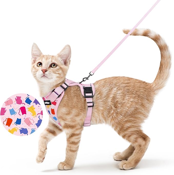 rabbitgoo Cat Harness and Leash for Walking, Escape Proof Soft Adjustable Vest Harnesses for Cats, Easy Control Breathable Reflective Strips Jacket, Purrty Pink, XS