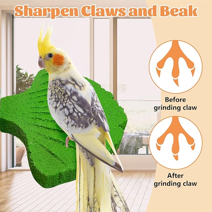 3 Pcs Parrot Perch Resin Bird Beak Grinding Stone Leaf Shape Perch Stand Foot Clawing Trimmer Bird Cage Accessories for Cockatiels Conures Budgies Lovebirds (Green)