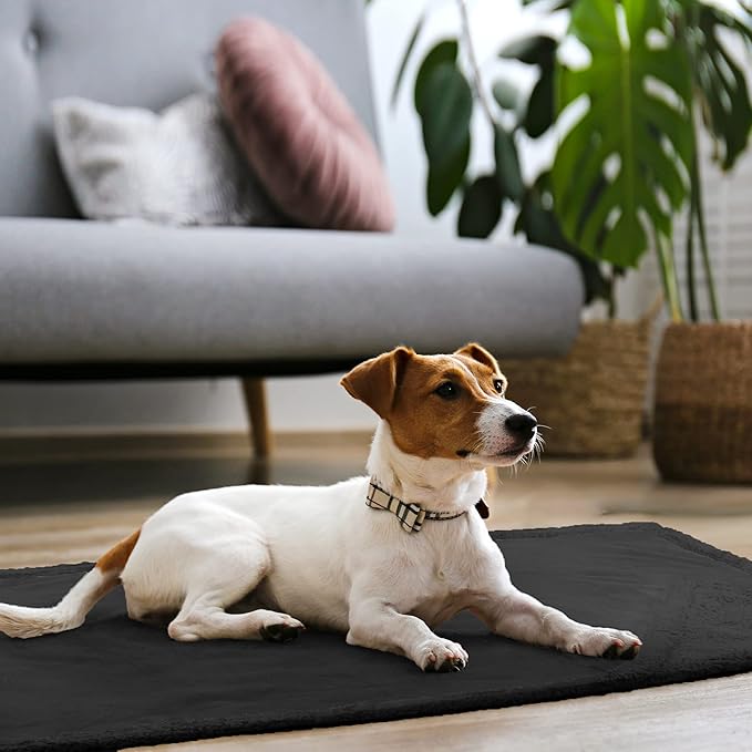 Kritter Planet Waterproof Dog Blanket, Reversible Water Proof Pet Blanket for Couch, Bed & Car, Washable Couch Covers for Medium Dogs - Protects Furniture from Fur, Dirt, and Accidents