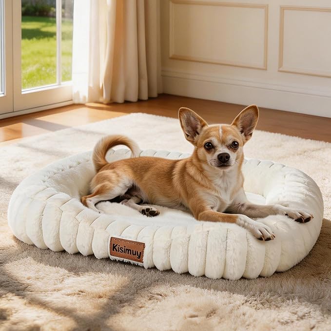 Dog Bed for Small & Medium Dogs – Calming Furry Puppy Bed with Washable Removable Cover, Anti-Slip Bottom & Orthopedic Support Foam, Rectangle Pet Cuddler for Indoor Cats/Dogs, 25"x21"x4", Cream
