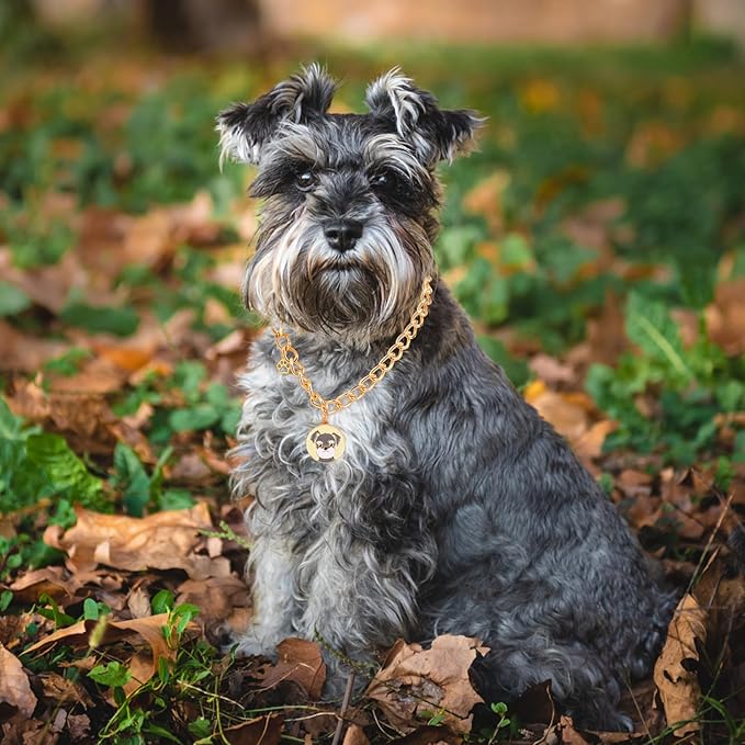HOWWFALY Dog Collar and Cat Chain Necklace Stainless Steel Adjustable 18K Gold Heart-Shaped Necklace for Small Pets Cats Kitten Puppy (Gold, 14 inch)