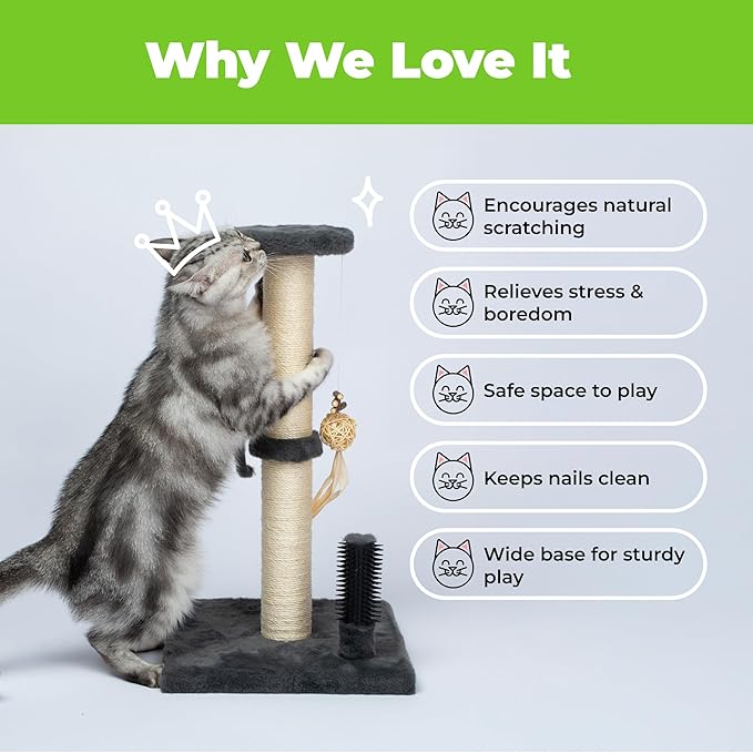 Best Pet Supplies Catify Cat Scratcher, Fun Interactive Scratchers, Posts, Poles, Claw Safe, Furniture Saver Indoor Play Support Natural Cat Behaviors Heavy Duty - Gray