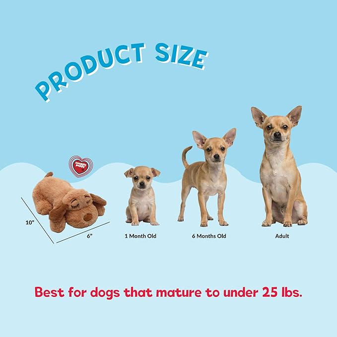 Snuggle Puppy Junior Heartbeat Puppy Toy - Heartbeat Puppy for Dogs - Pet Anxiety Relief and Calming Aid - Comfort Dog Toy - Behavioral Training and Sleep Aid Cuddle Buddy - Biscuit