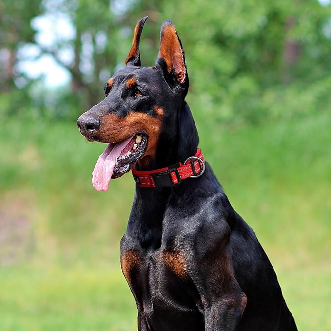 EXCELLENT ELITE SPANKER Reflective Dog Collar Classic Soft Padded Breathable Nylon Adjustable Pet Collar with Quick Release Buckle for Boy Girl Male Female Small Medium Large Dogs Training(Black-XL)