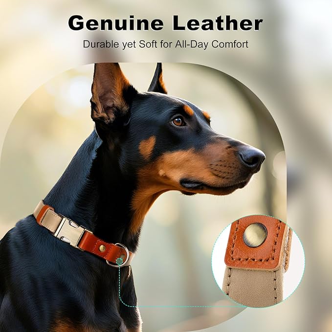 Plutus Pet Genuine Leather & Hemp Dog Collar – Adjustable Heavy Duty Pet Collar with Quick Release Metal Buckle, Soft & Stylish for Puppy and Small, Medium, Large Dogs (Beige, L)