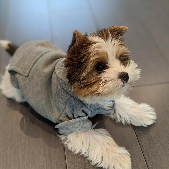 Jecikelon Winter Dog Hoodie Sweatshirts with Pockets Warm Dog Clothes for Small Dogs Chihuahua Coat Clothing Puppy Cat Custume (Grey, X-Large)
