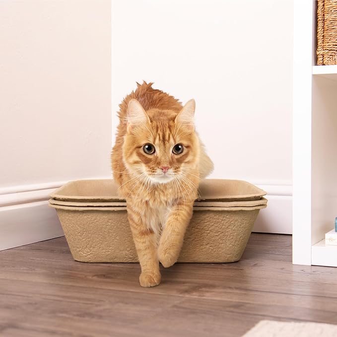 Kitty Sift (Set of 2 Litter Boxes & 1 Sifting Liner) Disposable Sifting Cat Litter Box Jumbo, 3 Count, Durable and Portable for Travel with Odor Control