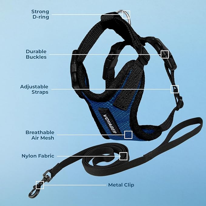 Voyager Escape-Proof Step-in Lock Cat Harness & 5ft Neoprene-Handle Leash Set All-Weather Mesh with Reflective Stitching for Small to Large Cats by Best Pet Supplies, Royal Blue/Black Trim, XXS