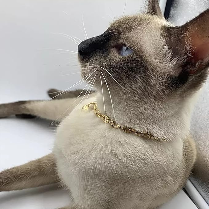 HOWWFALY Dog Collar and Cat Chain Necklace Stainless Steel Adjustable 18K Gold Heart-Shaped Necklace for Small Pets Cats Kitten Puppy (Gold, 7 inch)