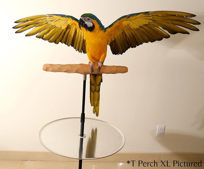 Parrot Training Perch Stand with Potty Tray (T Perch, Large)