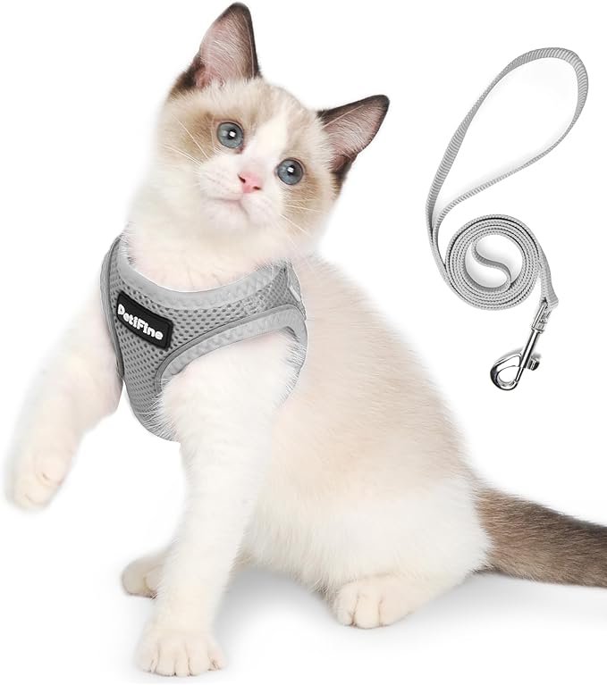 PetiFine Extra Small Step in Dog Harness and Leash Set, Cat Harness and Leash Escape Proof, All Weather Mesh Reflective, Step-in Air Vest Harnesses for Puppy(XXXS, Grey)