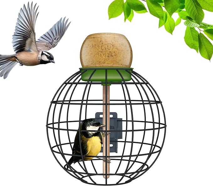 LONA Squirrel Proof Bird Feeding Cage for Outdoor All-Weather Metal Caged Bird Feeder with Peanut Butter Jar Holder, Trapeze Stick, Chew-Proof Feeding Cage for Small Birds (Round Cage, 1 Feeding Unit)