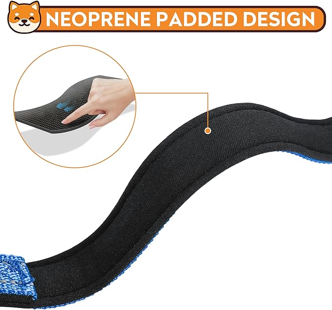 Reflective Dog Collar, Adjustable Soft Neoprene Padded Nylon Pet Collars with Buckle for Small Dogs, Navy Blue,S