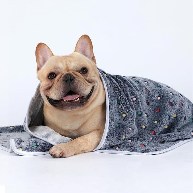 Luciphia 1 Pack 3 Blankets Super Soft Cute Dot Pattern Pet Blanket Flannel Throw for Dog Puppy Cat Large(41x31), Blue