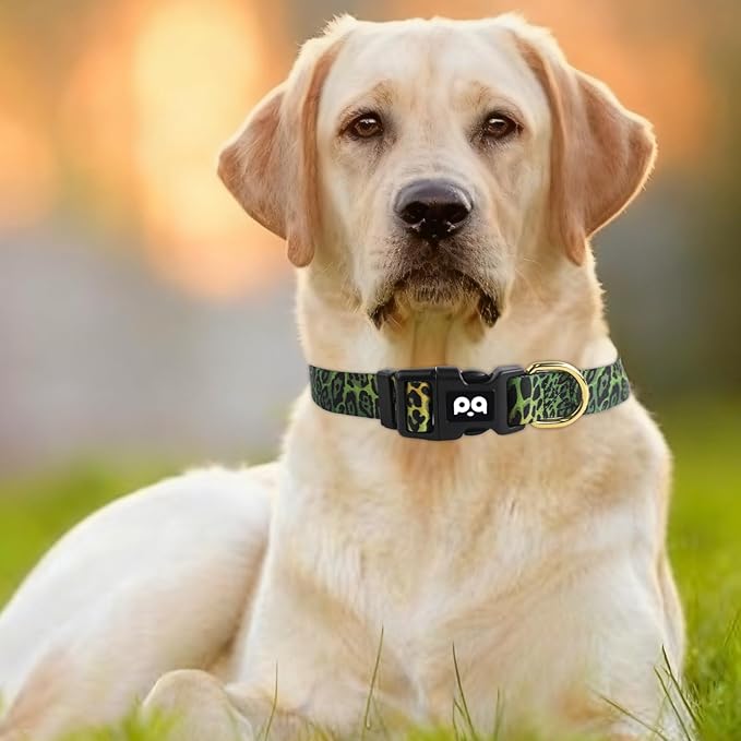 QQPETS Adjustable Soft Dog Collar: Print Flower Pink Multicolor Cute Patterns for XS Small Medium Large Pet Girl Boy Puppy Walking Running Training