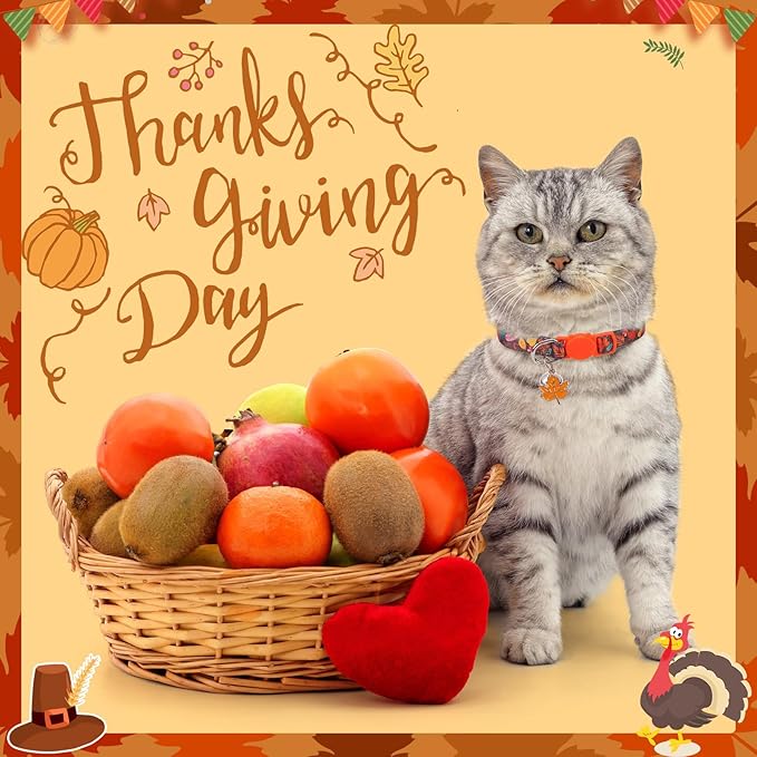 SCENEREAL Fall Thanksgiving Cat Collar Breakaway Girl Boy, Safety Buckle Soft Adjustable Cats Collars with Bells for Daily Wearing, Holiday Kitten Puppy Personalised Collars for Dogs