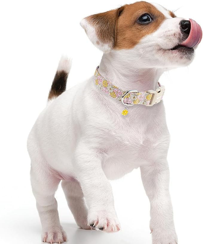 Faygarsle Floral Girl Dog Collar, Cotton Fabric with Daisies Pattern, Pink and Yellow Summer Spring Design for Small Medium Large Dogs XS
