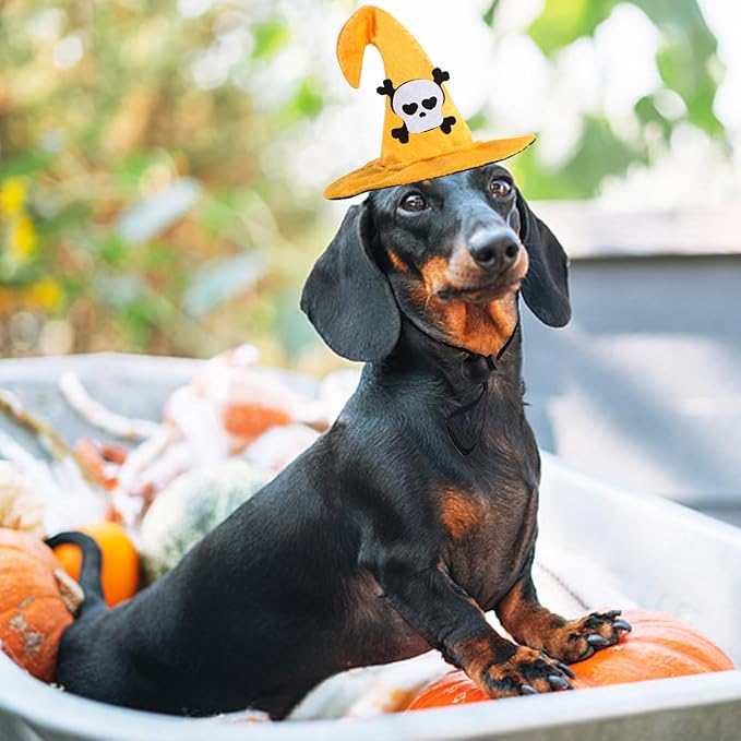 Lionheart glory Halloween Dog Hat Skull Headdress Funny Adjustable Soft Cute Pet Headgear Witch Hat for Dog Cat Dog Party Accessories Costume