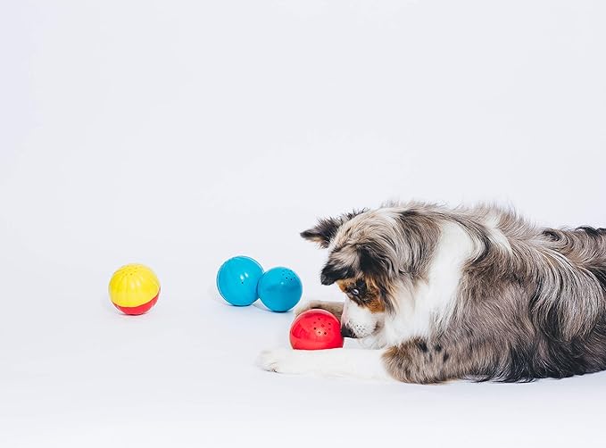 Pet Qwerks Animal Sounds Babble Ball - Chew Dog Toy - Small