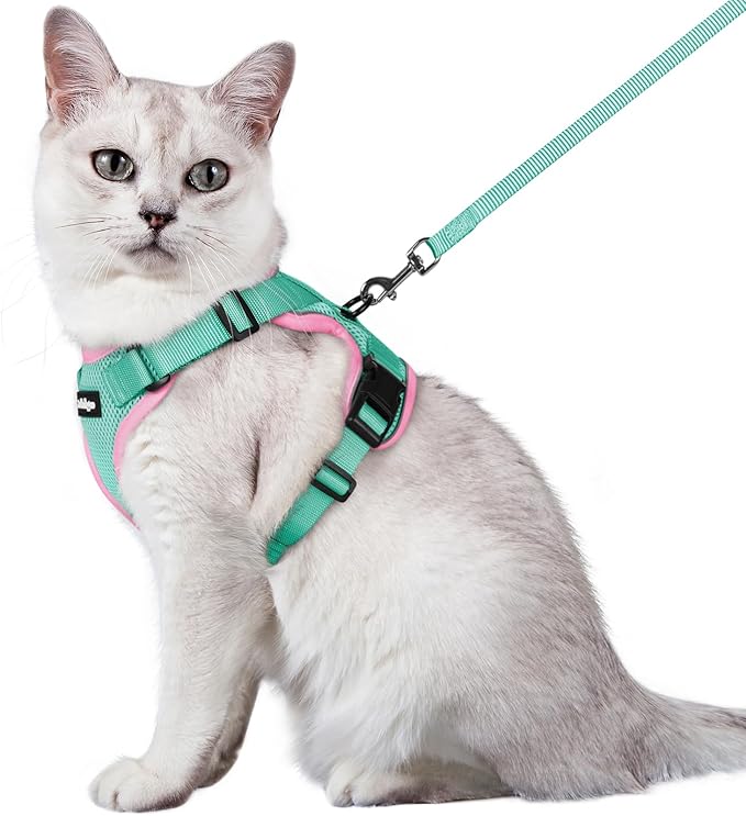 rabbitgoo Cat Harness and Leash for Walking, Escape Proof Soft Adjustable Vest Harnesses for Cats, Easy Control Breathable Reflective Strips Jacket, Green&Pink, XXS