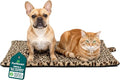 Furhaven ThermaNAP Self-Warming Cat Bed for Indoor Cats & Small Dogs, Washable & Reflects Body Heat - Quilted Faux Fur Reflective Bed Mat - Leopard, Small
