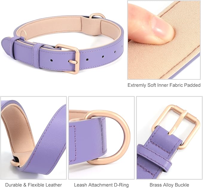 WHIPPY Leather Dog Collar for Small Medium Large Dog Adjustable Soft Breathable Leather Padded Puppy Collar with Alloy Buckle Heavy Duty Waterproof Classic Dog Pet Collar,Purple,XS