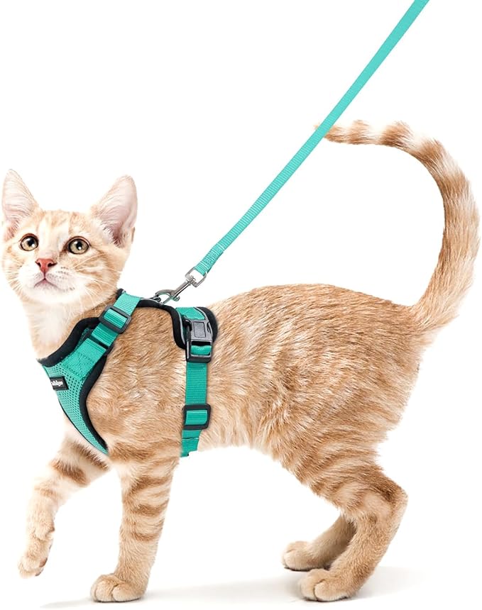 rabbitgoo Cat Harness and Leash for Walking, Escape Proof Soft Adjustable Vest Harnesses for Cats, Easy Control Breathable Reflective Strips Jacket, Emerald, S
