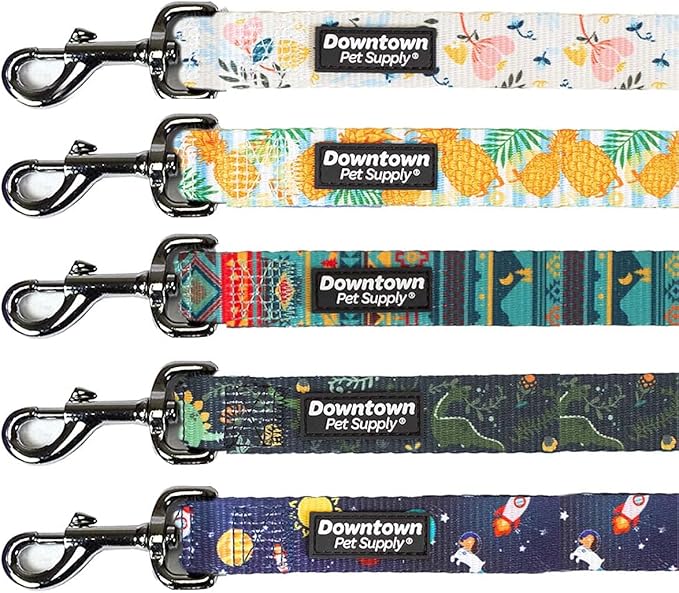 Downtown Pet Supply 6ft Heavy-Duty Dog Leash - Padded Comfort Handle & Stainless Steel Fastener - Durable Dog Training Leash - Pineapple - 1in Wide
