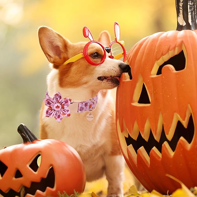 Halloween Pumpkin Dog Collar with Flower, Pink Halloween Puppy Flower Collar with Adjustable Metal Buckle,Fancy Halloween Dog Collar Bowtie Gift for Girl Boy Dog,L
