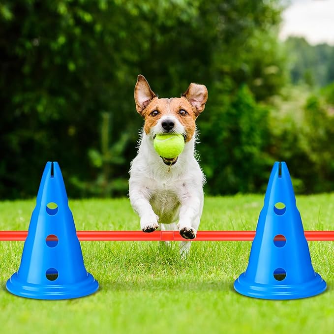 10 Sets Dog Agility Hurdle Cone Set 20 Pcs Exercise Cones with 10 Pcs Rods Adjustable Obstacle Portable Agility Training Equipment Canine Pole(Blue and Orange)