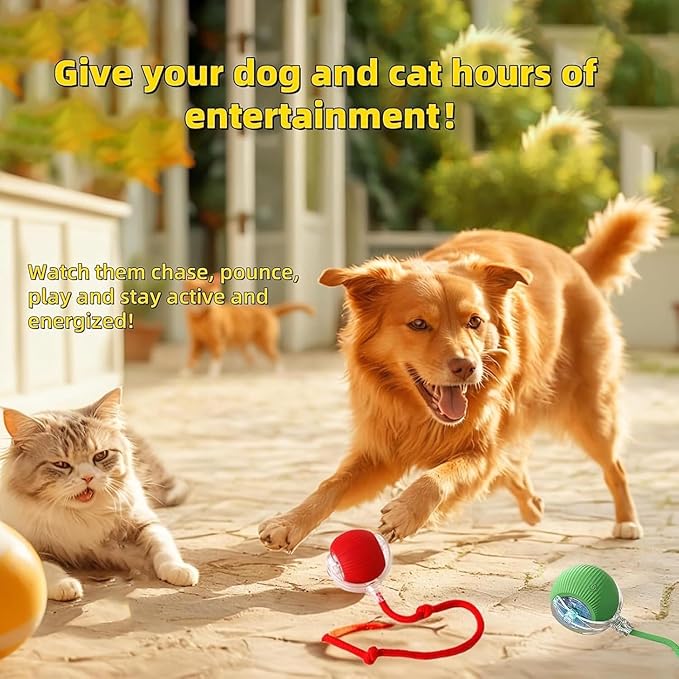 2 PCS Interactive Cat Toy Rolling Ball Chewie Viral Dog Ball, Smart Automatic Rolling Pet Balls,Automatic Moving Electric Cat Toy