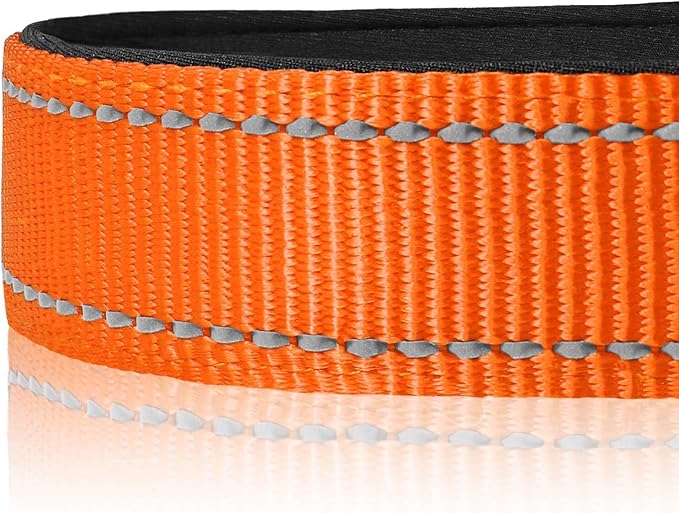 Joytale Dog Collar,Soft Neoprene Padded Breathable Nylon Pet Collar Adjustable for Puppy and Small Dogs,Orange,XS