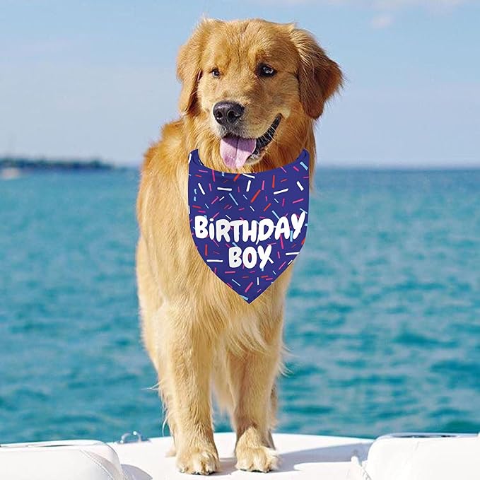 Birthday Boy Dog Bandanas 1 Pack, Blue Birthday Dog Scarfs for Boys, Pet Scarves for Boy HBD Bandanas for Small Medium Large Dogs (Birthday Boy, One Size)