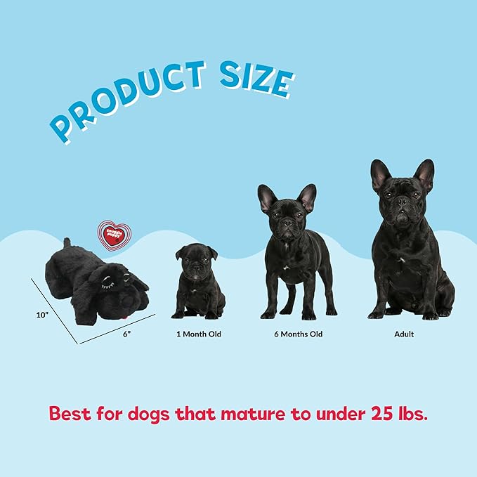 Snuggle Puppy Junior Heartbeat Puppy Toy - Heartbeat Puppy for Dogs - Pet Anxiety Relief and Calming Aid - Comfort Dog Toy - Behavioral Training and Sleep Aid Cuddle Buddy - Black