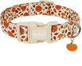 Fall Dog Collar – Halloween & Thanksgiving Dog Collars for Small Dogs – Soft & Comfortable Autumn Puppy Collar with Quick Release Buckle, Small Dog Collars for Girl Boy Dogs-S