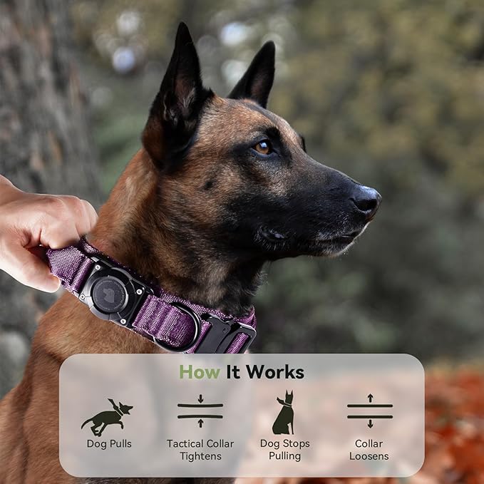 2025 Upgrade Waterproof AirTag Dog Collar, Military Tactical Dog Collar with AirTag Holder, Comfortable Control Handle and Metal Buckle, GPS Dog Collar Holder for Medium to Large Dogs (Purple, M)