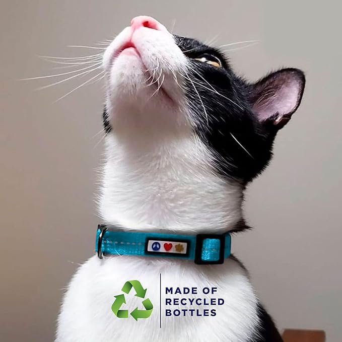 Pawtitas Recycled Teal Reflective Cat Collar – Eco-Friendly Breakaway Safety Buckle, Adjustable Kitten & Adult Collar with Removable Bell and High-Visibility Strap