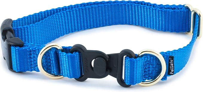 PetSafe KeepSafe Collar for Dogs - Protects Against Collar Accidents - Long Lasting - Durable - Adjustable - Breakaway - Outdoor-Safe - Medium - 1 In. Wide - Blue