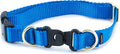 PetSafe KeepSafe Collar for Dogs - Protects Against Collar Accidents - Long Lasting - Durable - Adjustable - Breakaway - Outdoor-Safe - Medium - 1 In. Wide - Blue