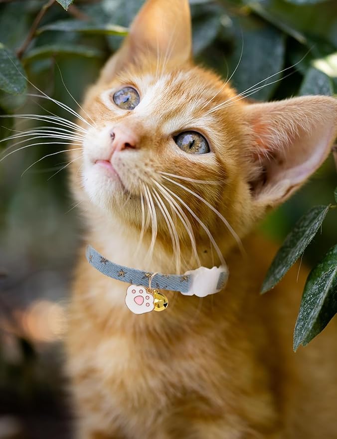 Cat Collar Breakaway with Bells,3 Pack Safety Adjustable Pet Collars,Ideal for Girl Boy Kittens. (Blue Black Starfish)