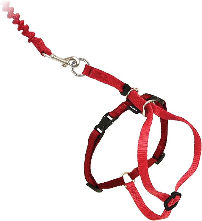 PetSafe Come With Me Kitty Cat Harness & Bungee Leash - Comfortable Cat Harness with Lightweight Bungee Leash for Outdoor Fun - More Secure Walks - Small - Red