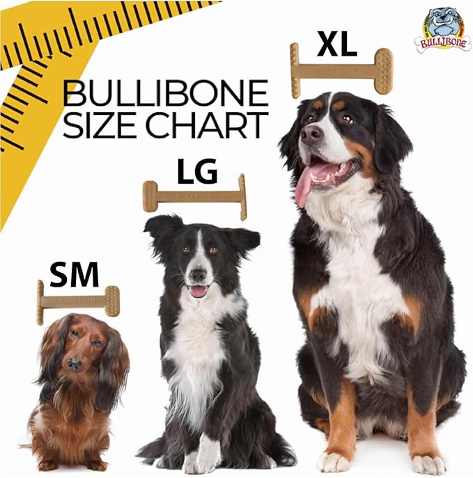 Bullibone Nylon Dog Chew Toy for Aggressive Chewers - Dental Hygiene Bone with Peanut Butter Flavor, Durable Tough Chew Toys for Large Dogs, Indestructible Dog Bone - 3 Pack