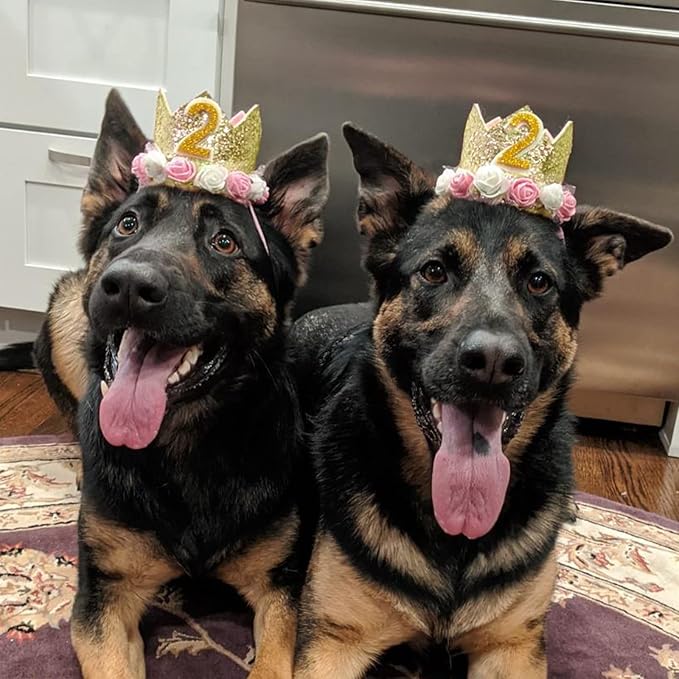 Dog Birthday Crown Hat - Reusable Party Crown with 0-9 Figures Charms for Dogs & Cats - Gold