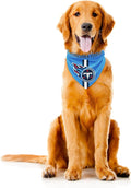 Littlearth NFL Denver Broncos Pet Bandana